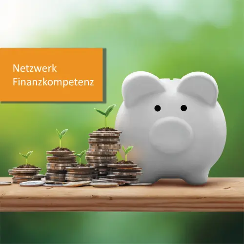 Logo von Netzwerk Finanzkompetenz.
